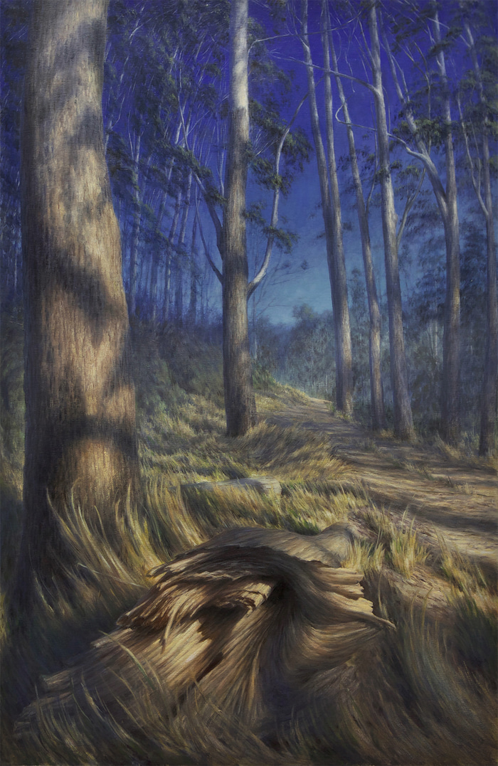 Hardwood Cathedral by Scott  Breton | Lethbridge Gallery